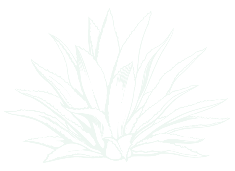 camping avec loisirs carcasonne