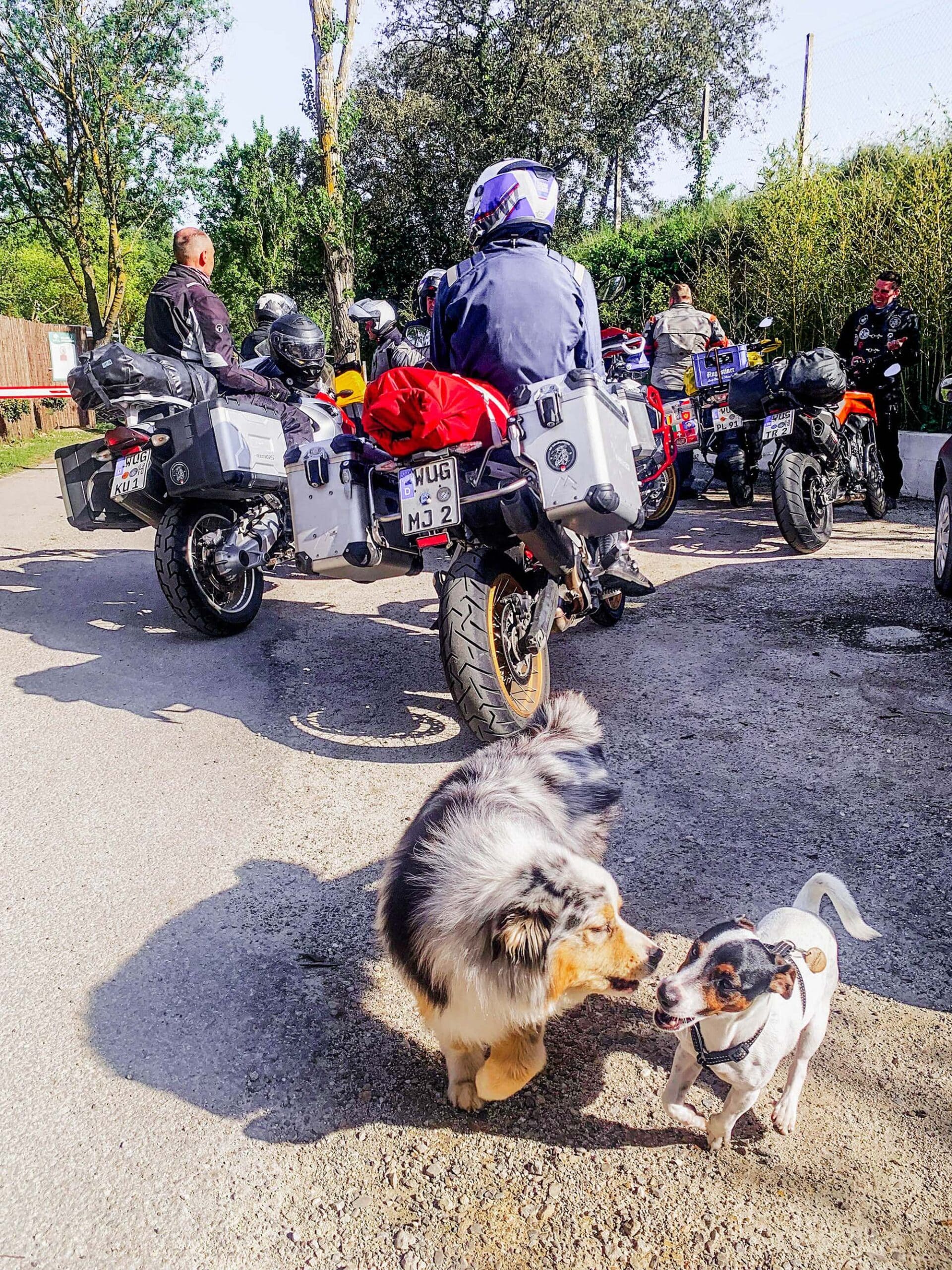 Val de Cesse Motards et chiens