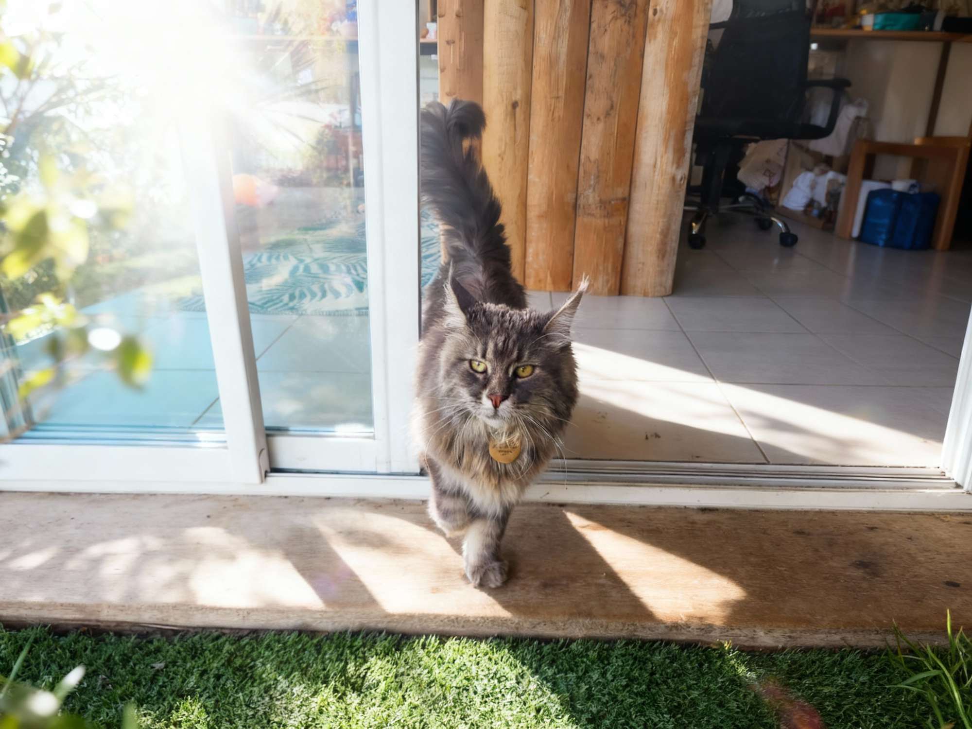 Val de Cesse accueil chat