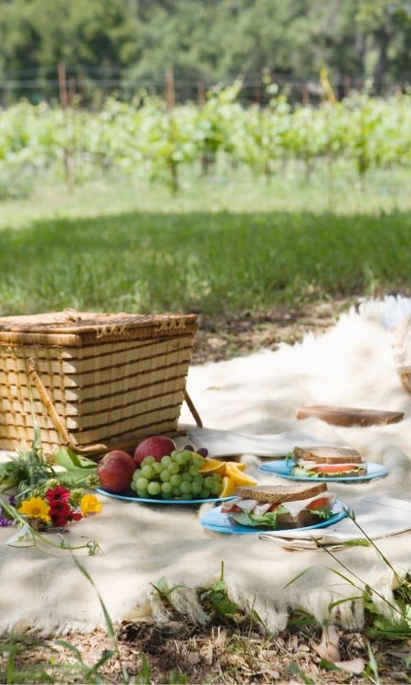 panier burguer piquenique