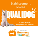 logo qualidog