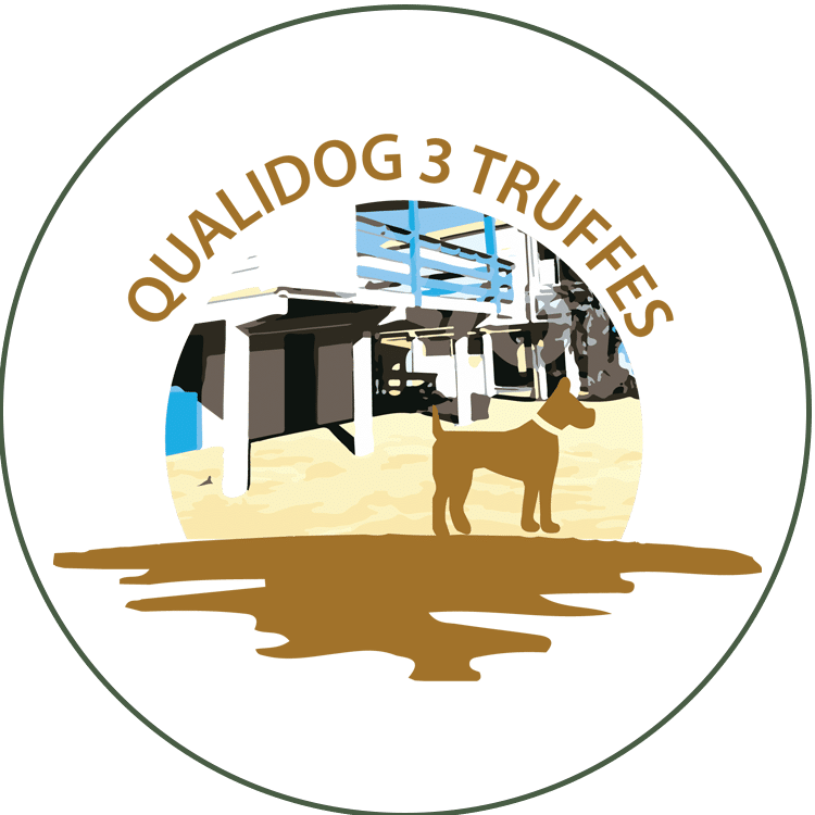 picto qualidog truffes