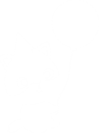 sectionpictoanniversaire