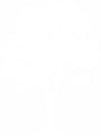 sectionpictoarbre