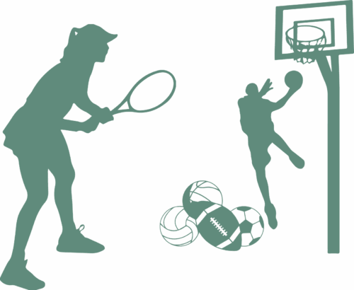 sectionpictolagarenne